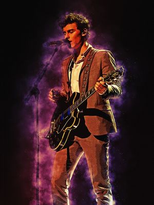 SPIRIT OF SHAWN MENDES