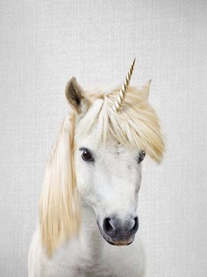 UNICORN - COLORFUL