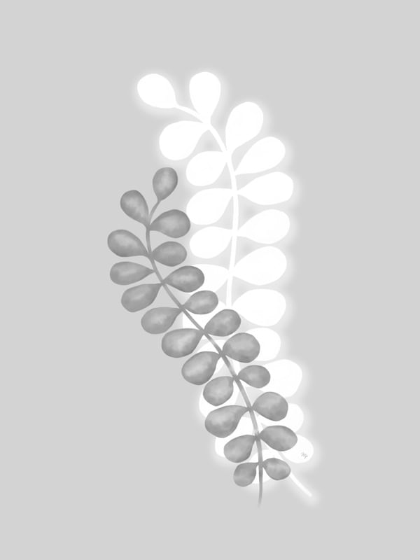 PLANTAS CINZA I