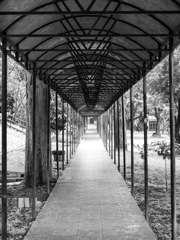 TÚNEL DE LUZ
