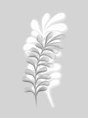 PLANTAS CINZA II