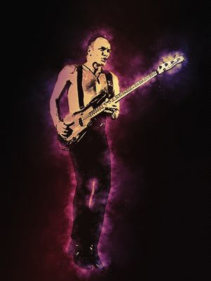SPIRIT OF STING BACK TO BASS