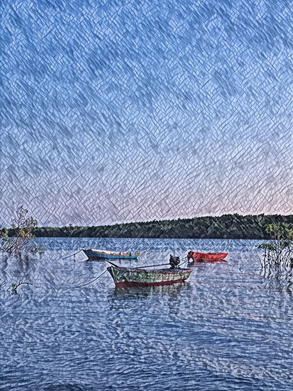 BARCOS NO ARREBOL DE MOITAS