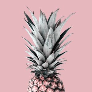 ABACAXI PINEAPPLE 01
