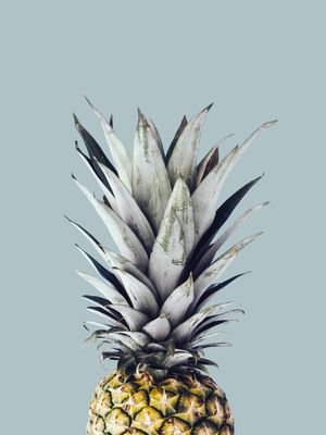 ABACAXI PINEAPPLE 02
