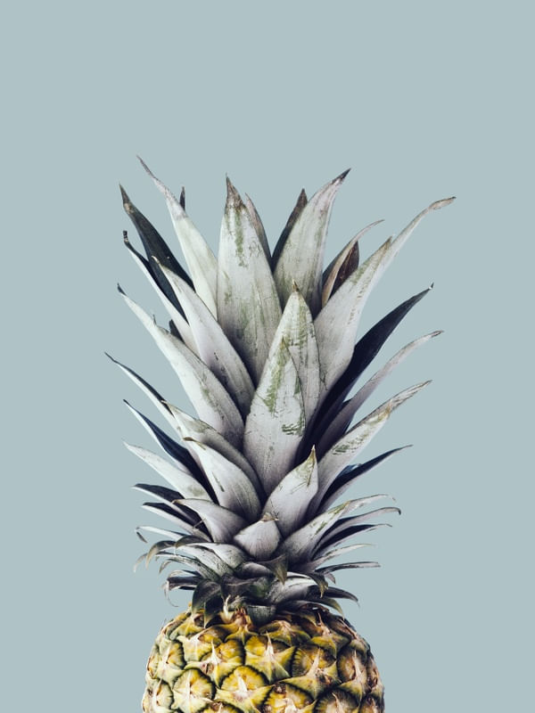 ABACAXI PINEAPPLE 02