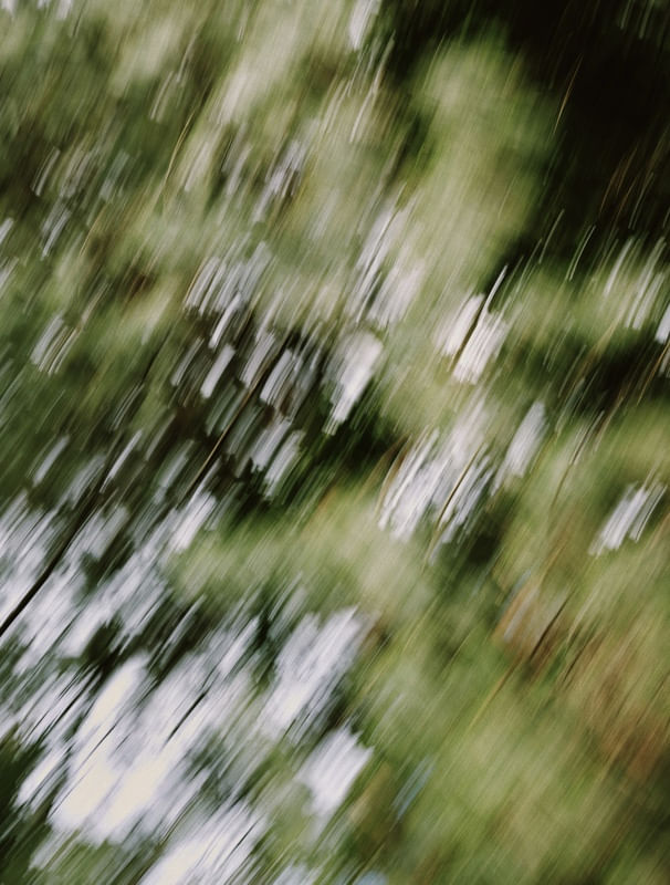 GREEN IMMERSION III