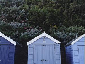 BRIGHTON CONCEPT
