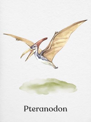 PTERANODON