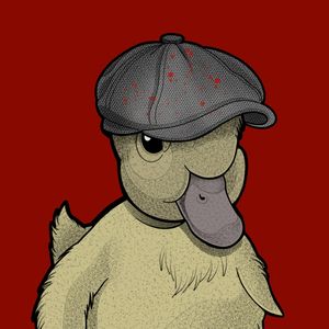 NICE DUCK BOINA