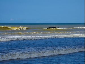 SURPRESAS NA ESTRADA XII