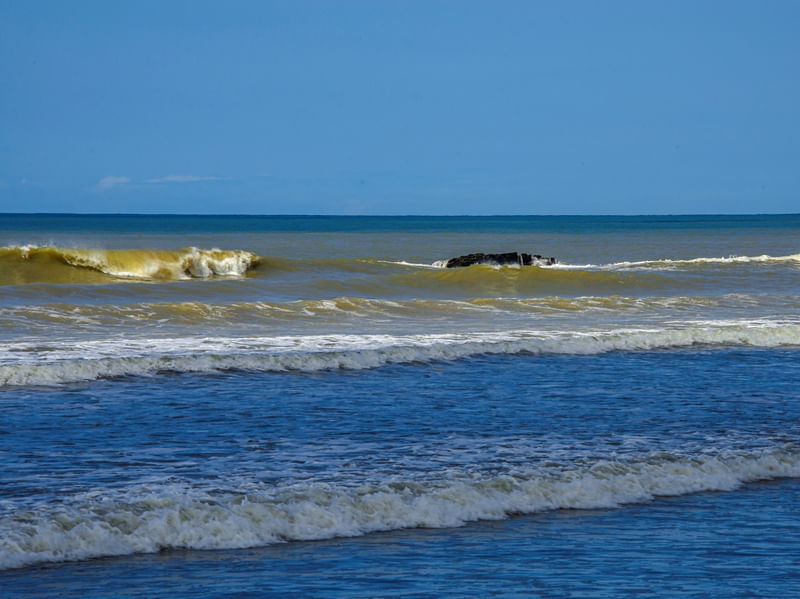 SURPRESAS NA ESTRADA XII
