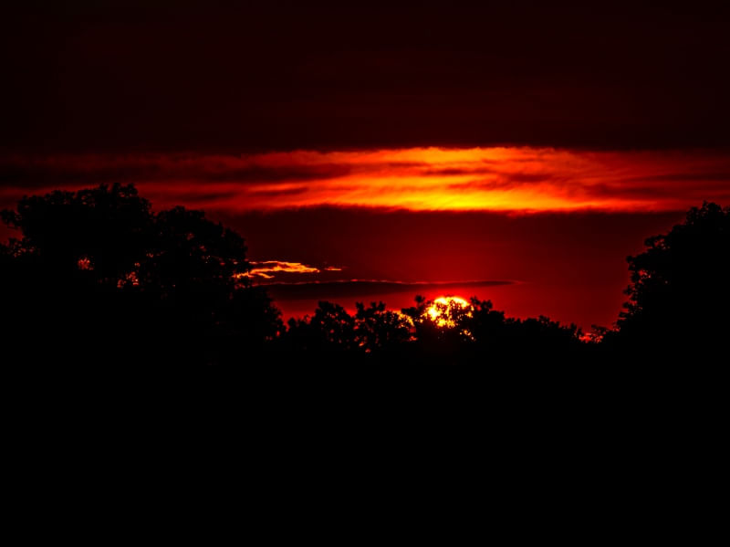 MAGIAS SOLARES XIV