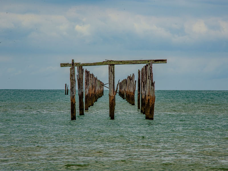 ESCULTURAS DO MAR I