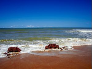 DINÂMICA NATURAL V