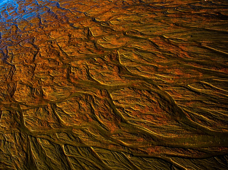 ÁRVORES DE AREIAS VII