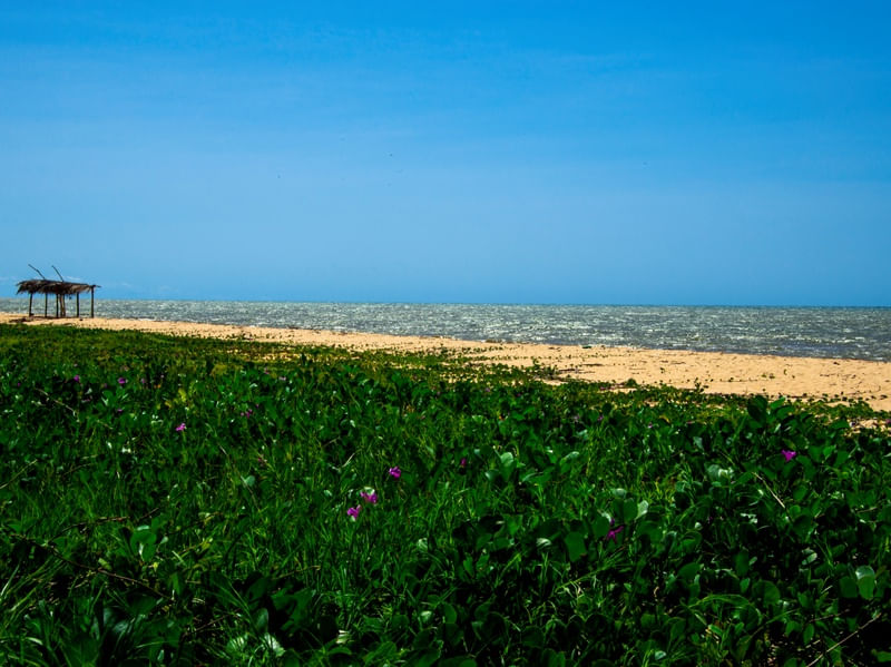 AREIAS DA BAHIA I