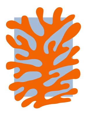 CORAL 01