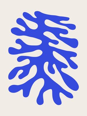 CORAL 02