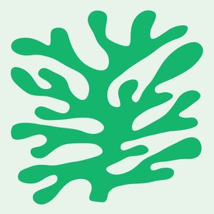 CORAL 04