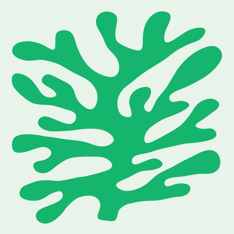 CORAL 04