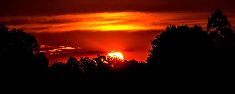 MAGIAS SOLARES V