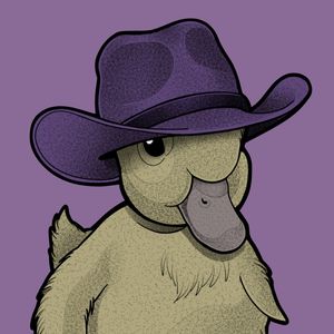 NICE DUCK COWBOY HAT