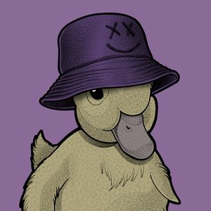 NICE DUCK BUCKET
