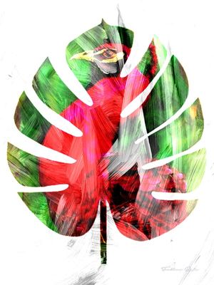 MYSTERIOUS PEACOCK