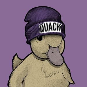 NICE DUCK TOUCA
