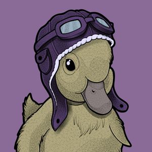 NICE DUCK AVIADOR