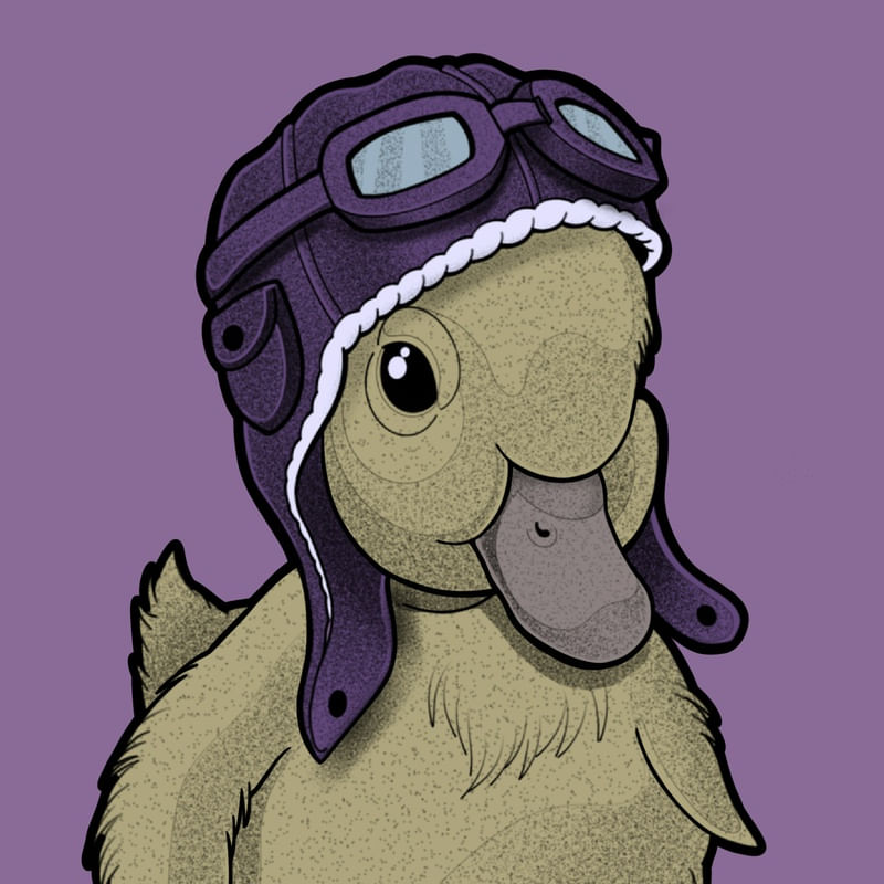 NICE DUCK AVIADOR
