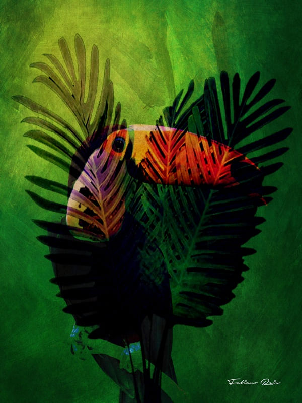 DIFFERENT TOUCAN