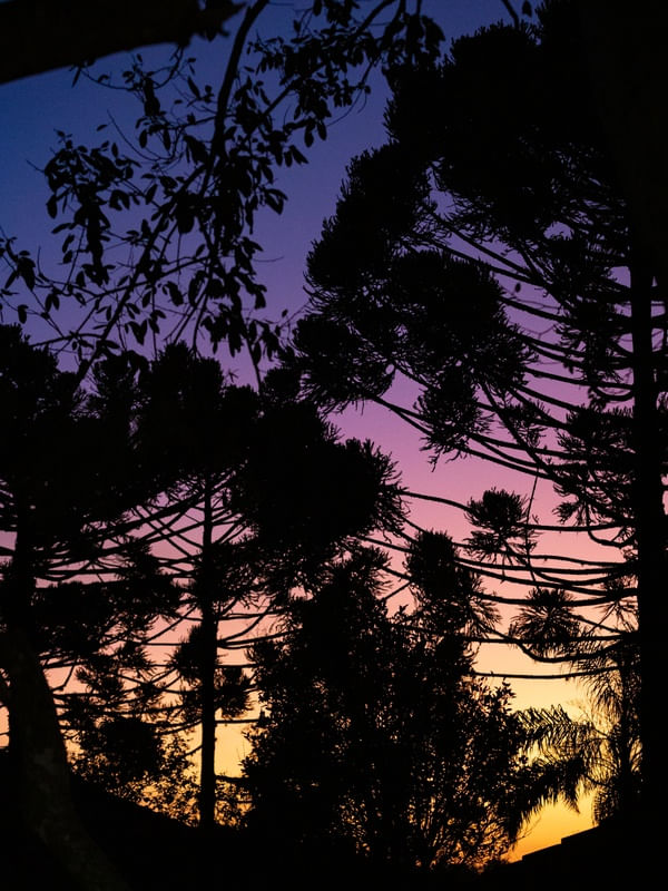 RAINBOW SUNSET
