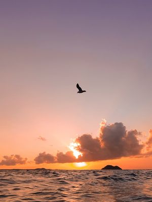 LUZ DO ENTARDECER