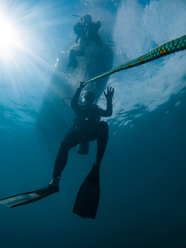 DIVER BELOW