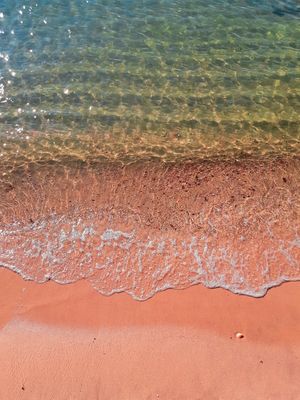 AMAR E SUAS CORES