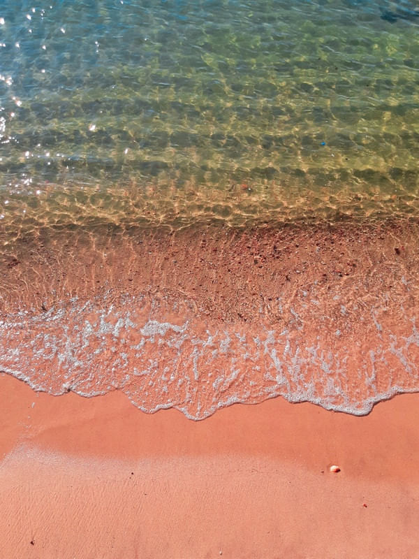 AMAR E SUAS CORES