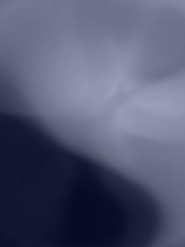 V03