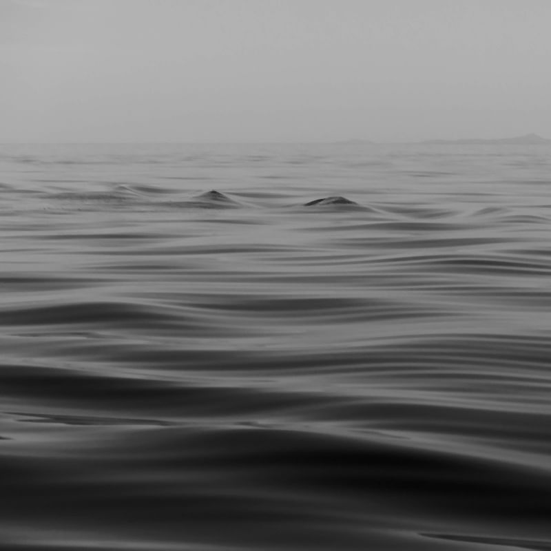 OCEANO 2