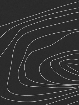 SINUOUS LINES