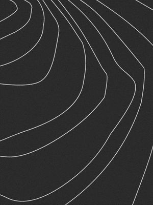 SINUOUS LINES II