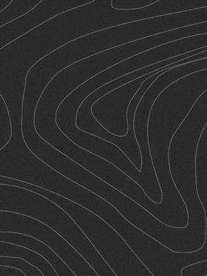 SINUOUS LINES III