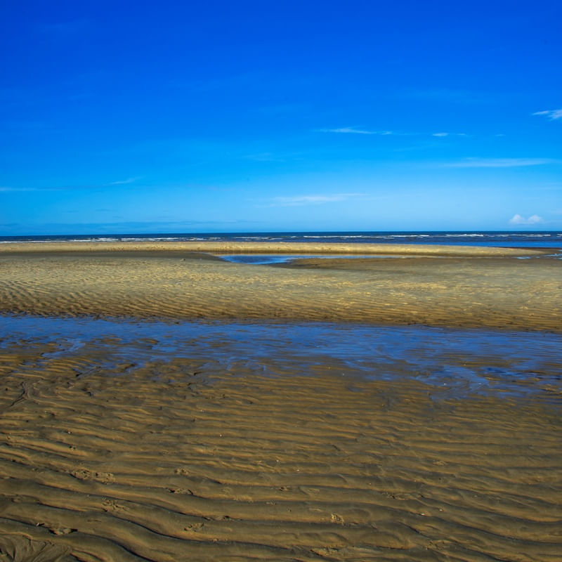 PRAIAS EM MOVIMENTO VI
