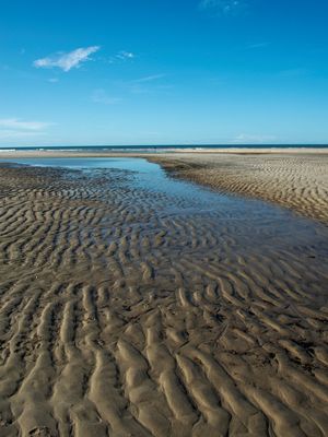 PRAIAS EM MOVIMENTO I