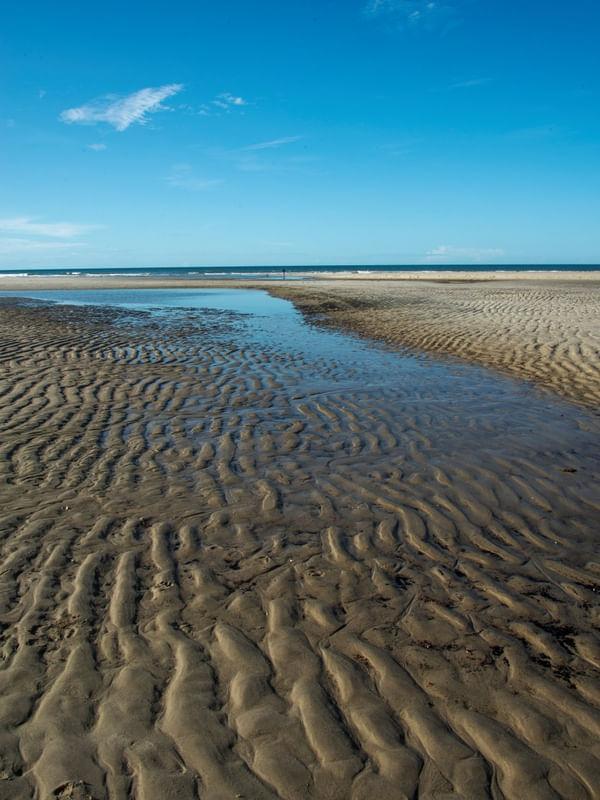 PRAIAS EM MOVIMENTO I