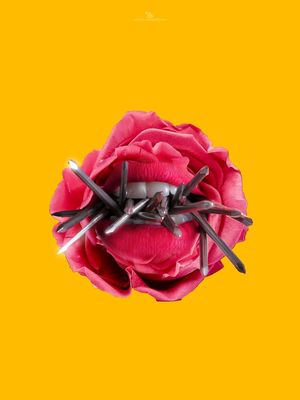 DANGEROUS ROSE