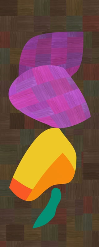 ORGANI 1