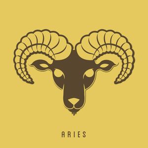 ARIES 1