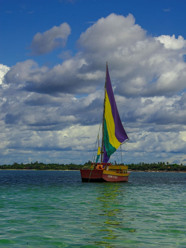 VELAS AO VENTO XII